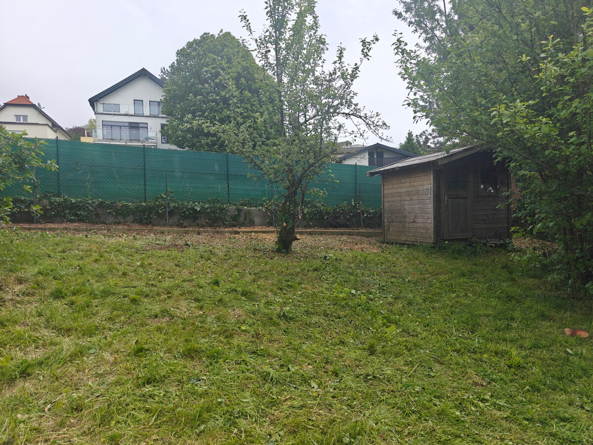 Dvorište posle uklanjanja više stabala i gustog žbunja