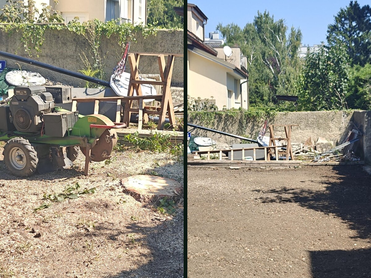 Sređeno dvorište posle uklanjanja bora i panja