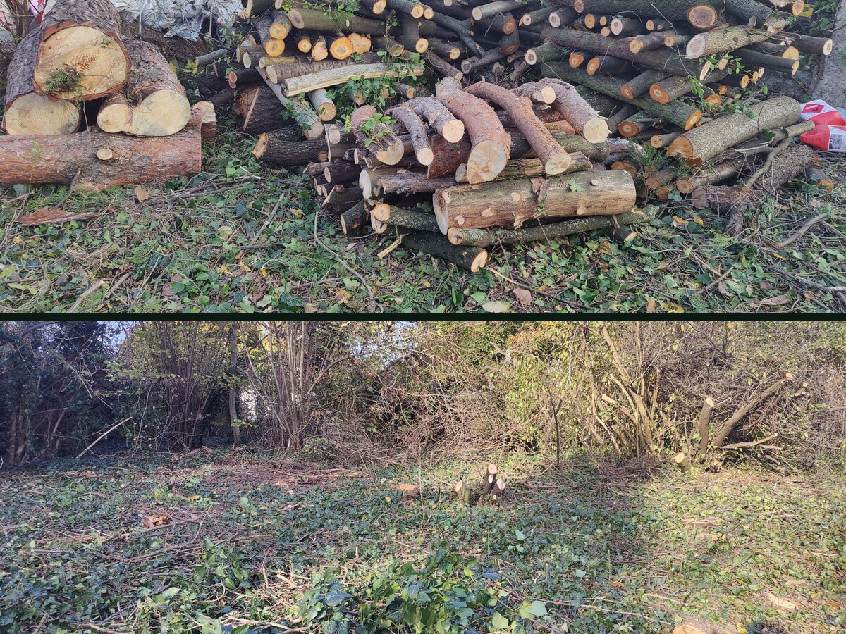 Raščišćen teren posle uklanjanja rastinja i granja
